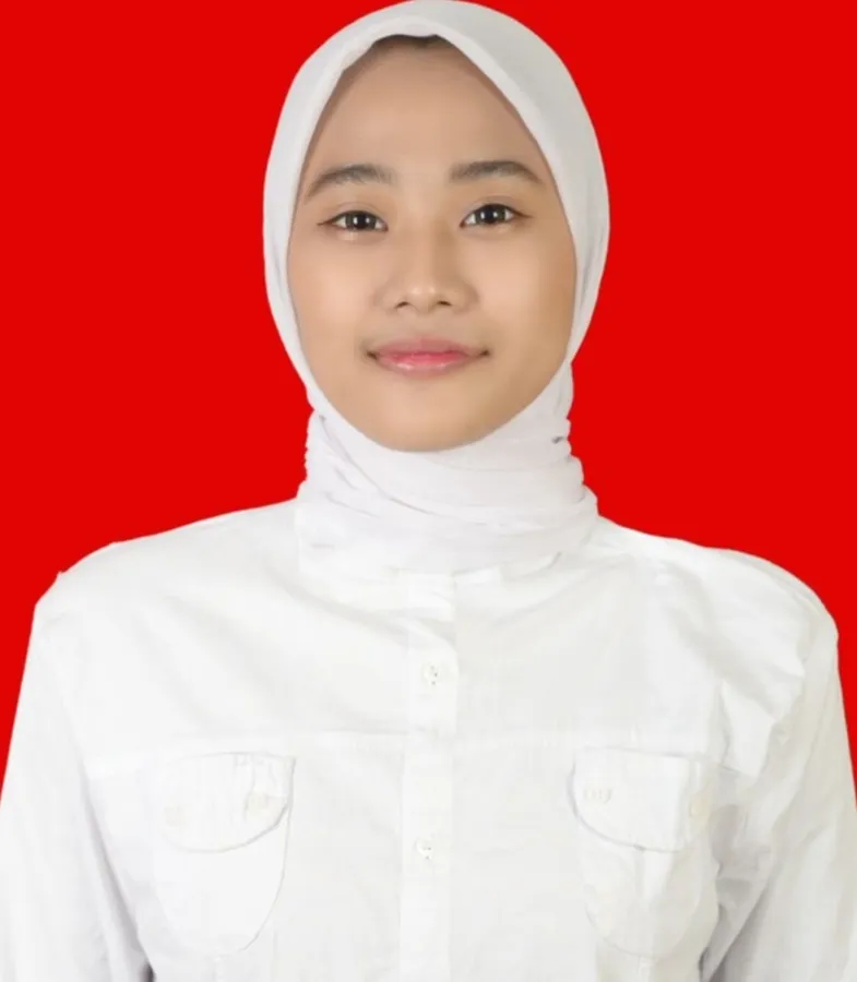 Nur Aini, S.H.
